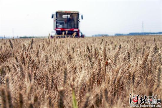 图片默认标题_fororder_1046348b-1b0e-4555-8506-334f4928de63_batchwm