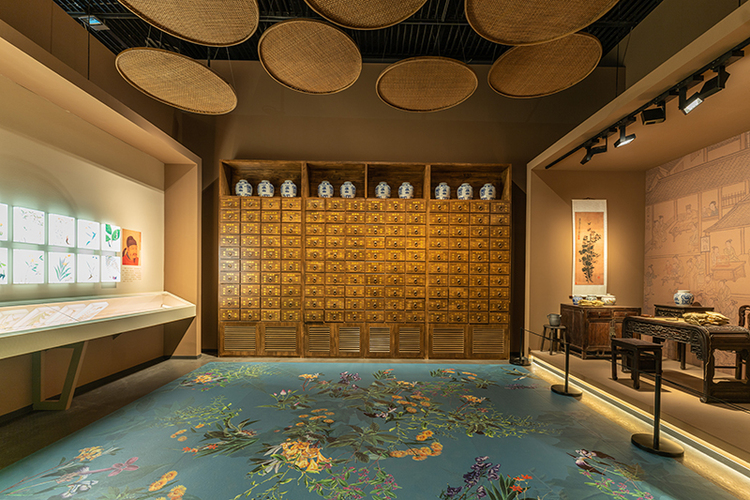 9月17日,发现中医之美——中国传统医药文物特展在成都博物馆正式