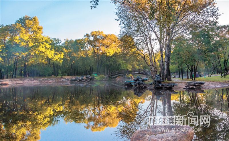 哈尔滨太阳岛天鹅湖秋色初染