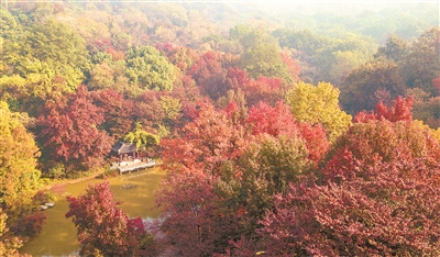 （旅游图文）南京（森林）旅游登山节开幕