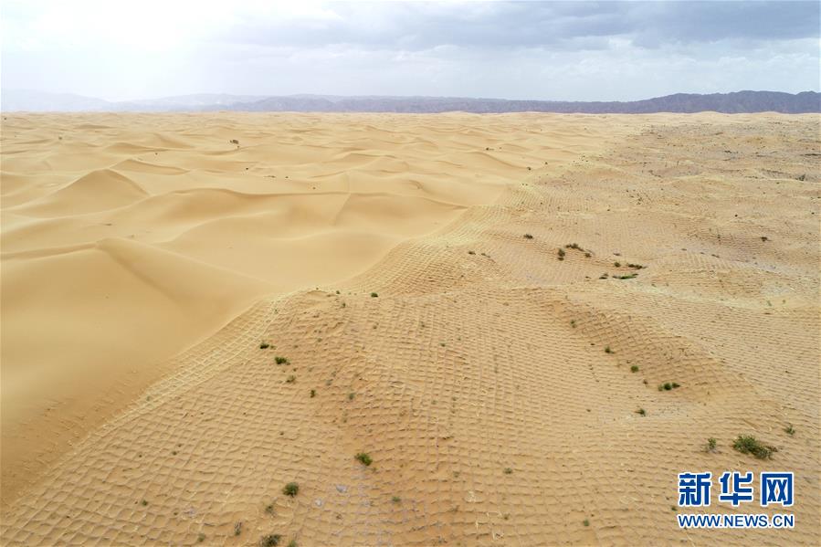 寧夏中衛：草方格扎出的沙漠綠意