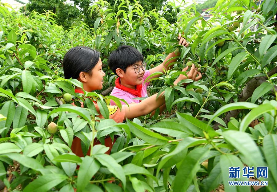 河北乐亭：农耕教育进校园