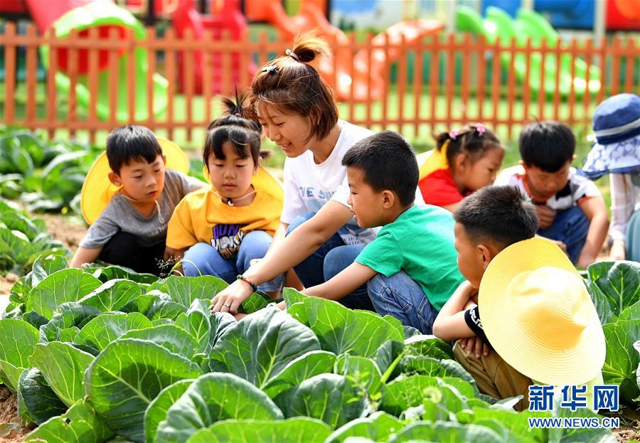 河北乐亭：农耕教育进校园
