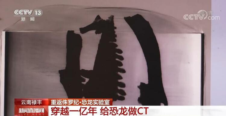 恐龙的祖先是什么？“化身为石”分几步？死后为何头朝东方？......穿越亿万年，一起探索远古的奥秘