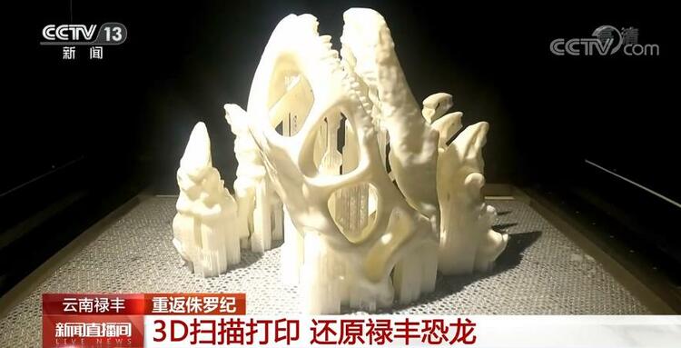 恐龙的祖先是什么？“化身为石”分几步？死后为何头朝东方？......穿越亿万年，一起探索远古的奥秘