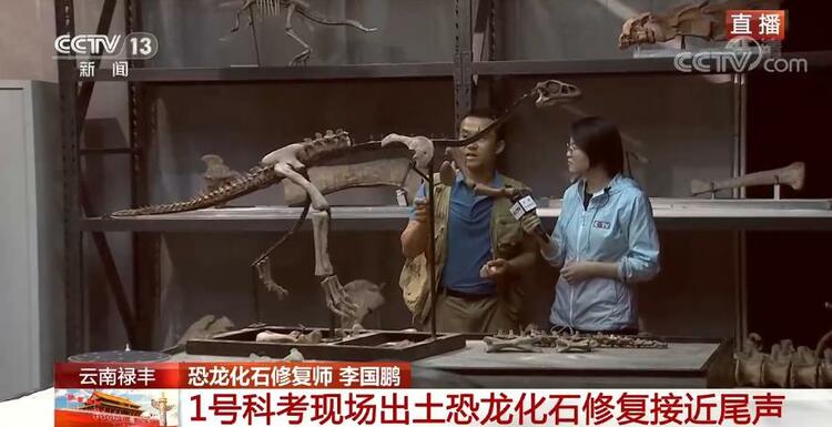 恐龙的祖先是什么？“化身为石”分几步？死后为何头朝东方？......穿越亿万年，一起探索远古的奥秘