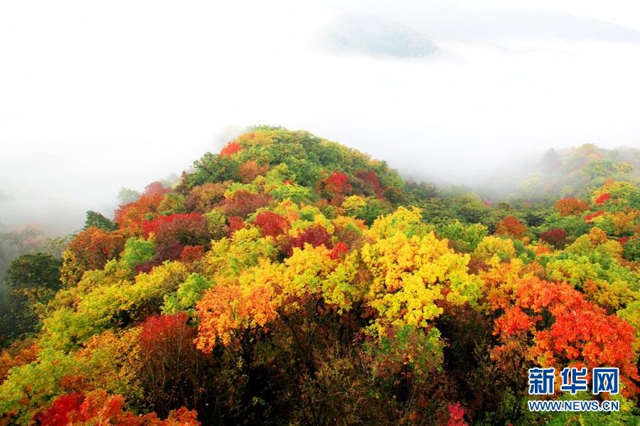 黑龍江鳳凰山：山披五彩 雲蒸霞蔚