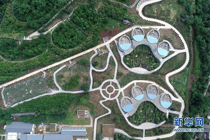 图片默认标题_fororder_1125972628_15892459619591n