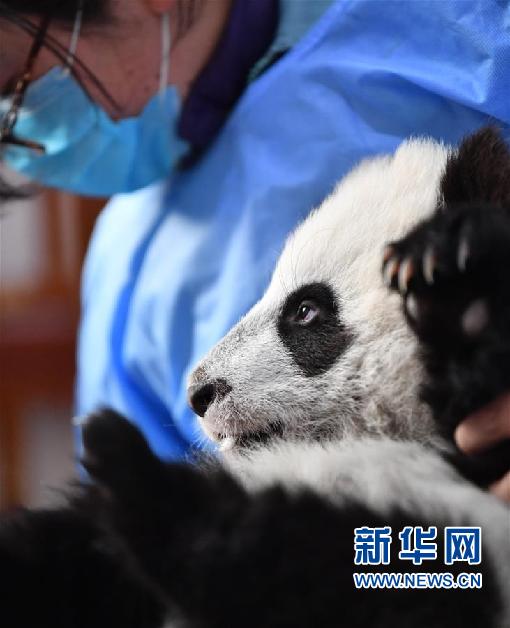 图片默认标题_fororder_1125972628_15892459416041n