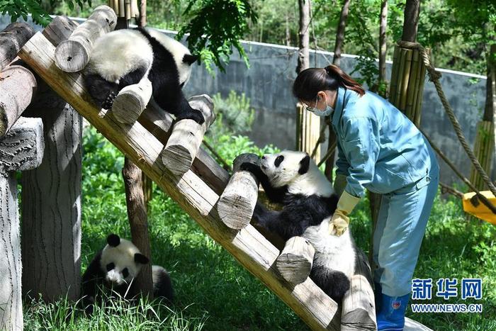 图片默认标题_fororder_1125972628_15892459793241n