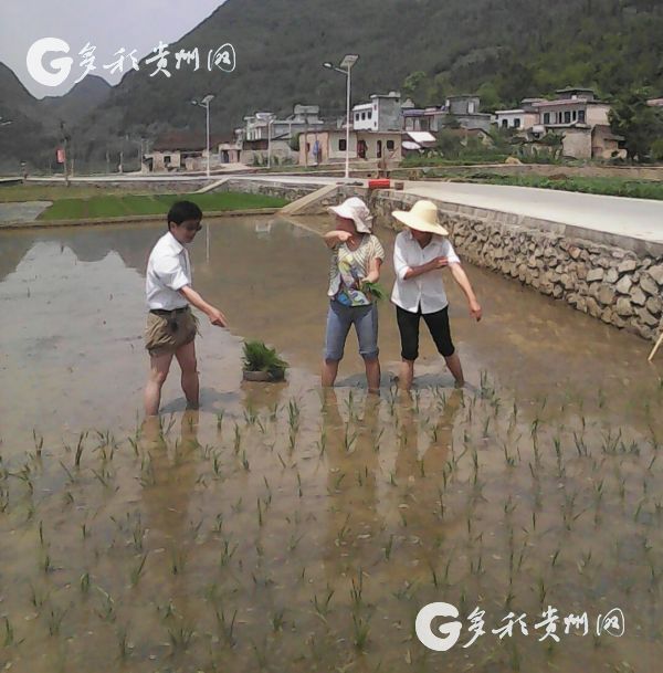 （訪談）熊玉唐：為稻田增收致富開新路