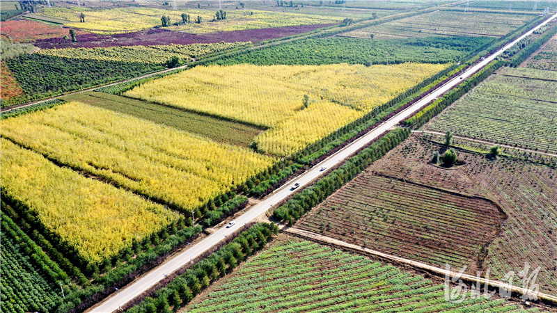 河北张家口宣化区：路网如画 通达四方