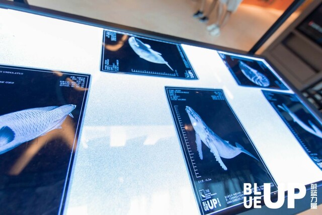 图片默认标题_fororder_5