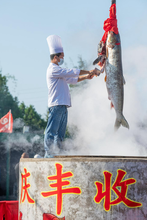万人锅炖百斤“鱼王” 河南南阳庆丰收