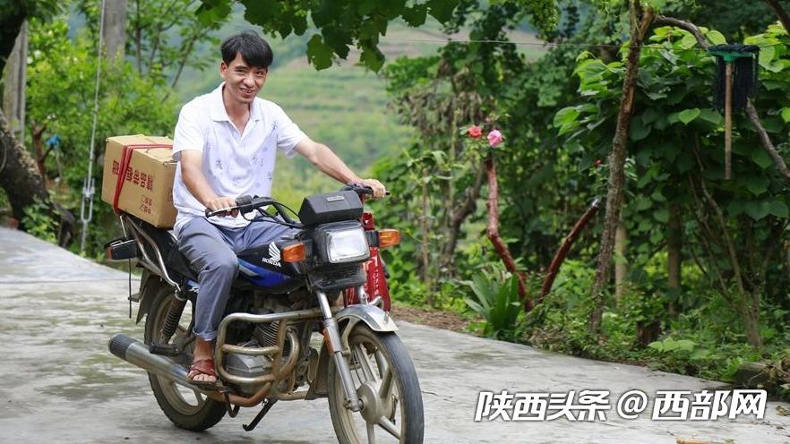 石泉：驻村干部成了养蜂“土专家” 带领村民脱贫致富