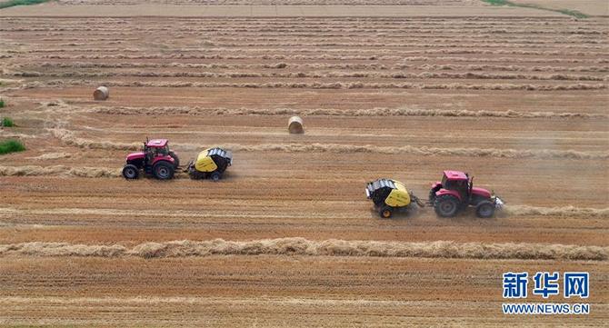 图片默认标题_fororder_1124638504_15608299665641n