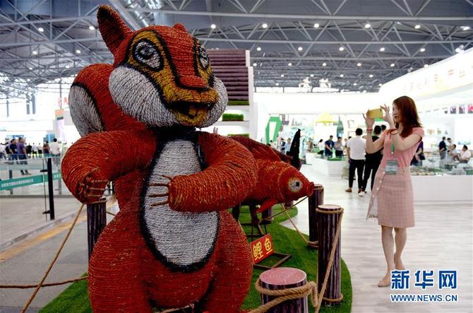 图片默认标题_fororder_1124638504_15608299665071n