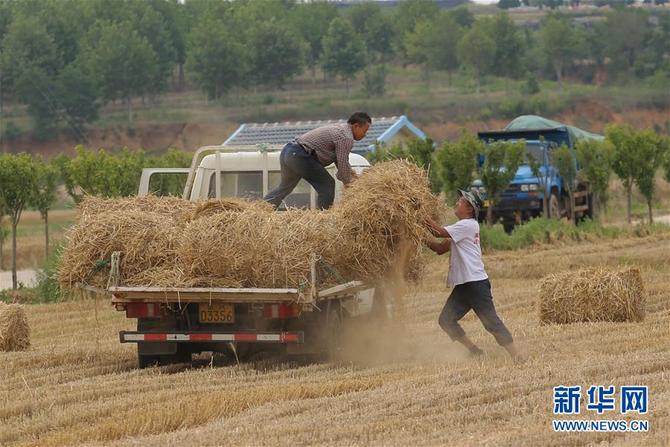 图片默认标题_fororder_1124638504_15608299664481n