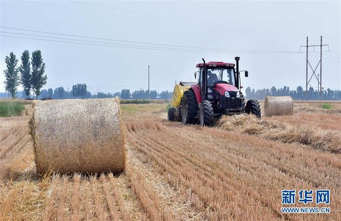 图片默认标题_fororder_1124638504_15608299665901n