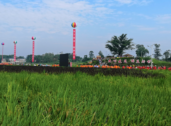 【原创】重庆市2021年中国农民丰收节在大足拾万镇开幕_fororder_微信图片_20210923143636