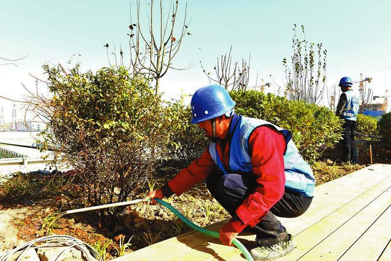 点亮西迁路 创业再出发 ——西咸新区沣西新城保障创新港建设纪实