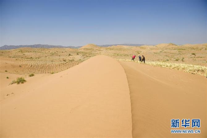 图片默认标题_fororder_f44d305ea0c81e7274a804