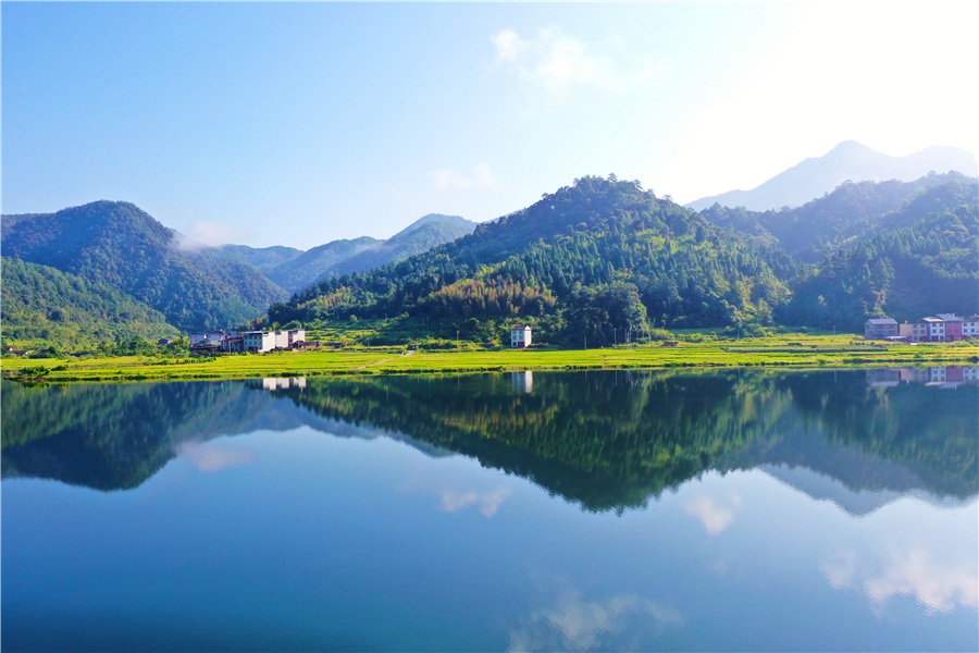 金色稻田与碧蓝天空映照溪上 福建将乐一幅丰收景象