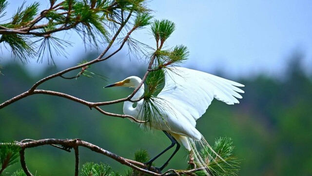 七彩云南 美丽澄江 见证生命起源 守护生物多样性