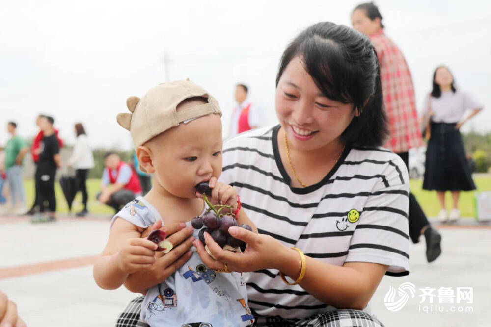 高质量发展看临港｜欢唱秋收喜 品味葡香甜