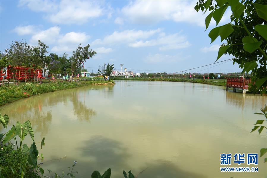 从贫困村屯到乡村旅游区——一个壮乡山村的蝶变