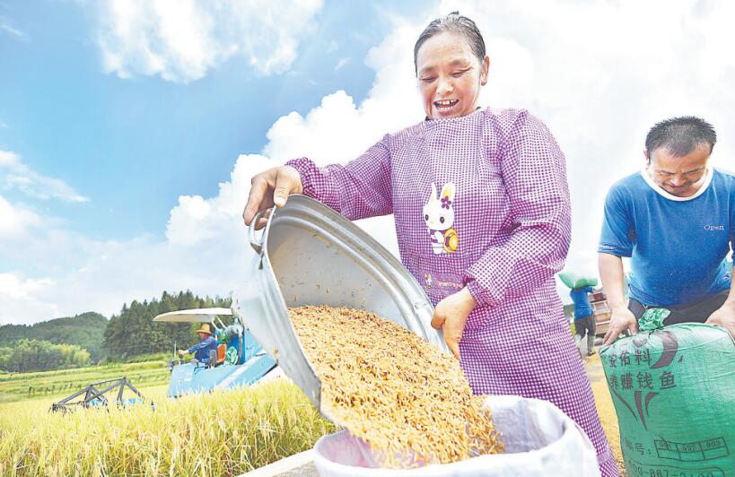 福建：田疇千里綠 興農正當時