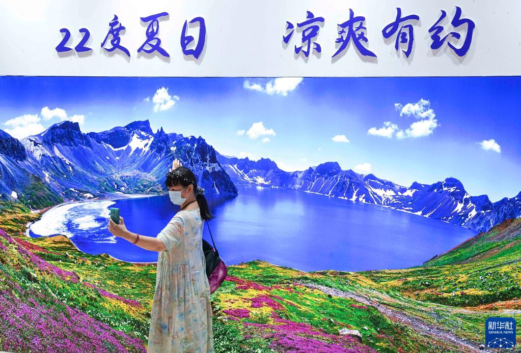 从黑土地到小卫星——东北亚博览会上的东北振兴元素