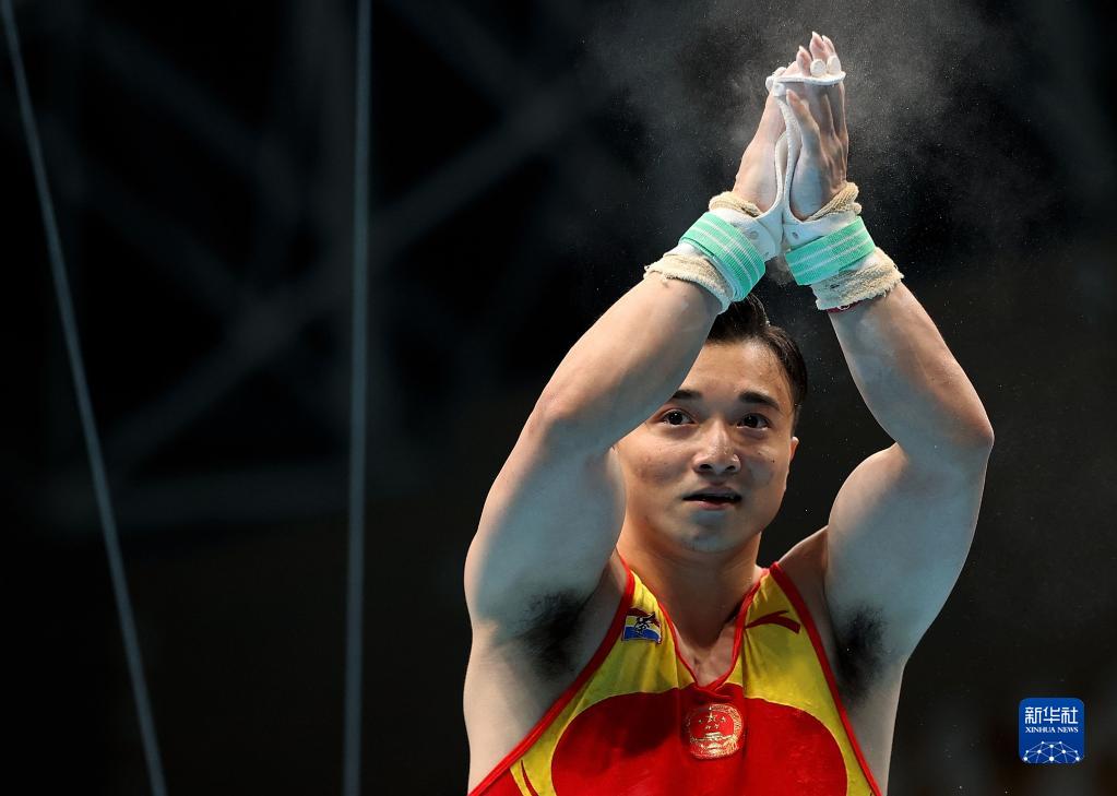 全運會-體操吊環決賽：遼寧隊選手劉洋獲得冠軍