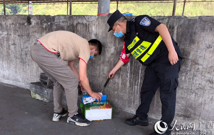 广西民警成功救助国家一级野生保护动物蜂猴
