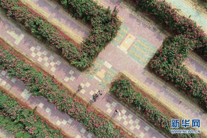 图片默认标题_fororder_CqgNOl0IN9OAMgxXAAAAAAAAAAA103.900x600