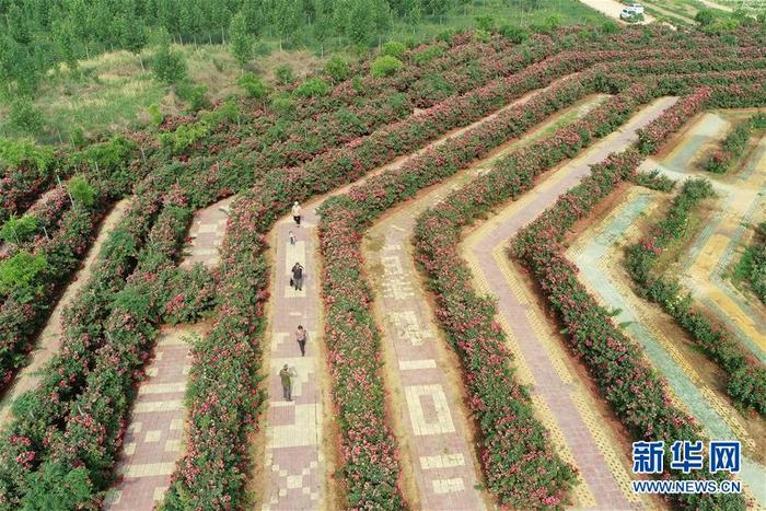 图片默认标题_fororder_CqgNOl0IN9SAXmDMAAAAAAAAAAA757.900x600