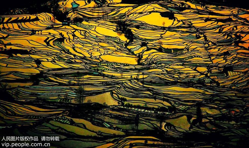 云南元阳梯田：眼前的世外桃源