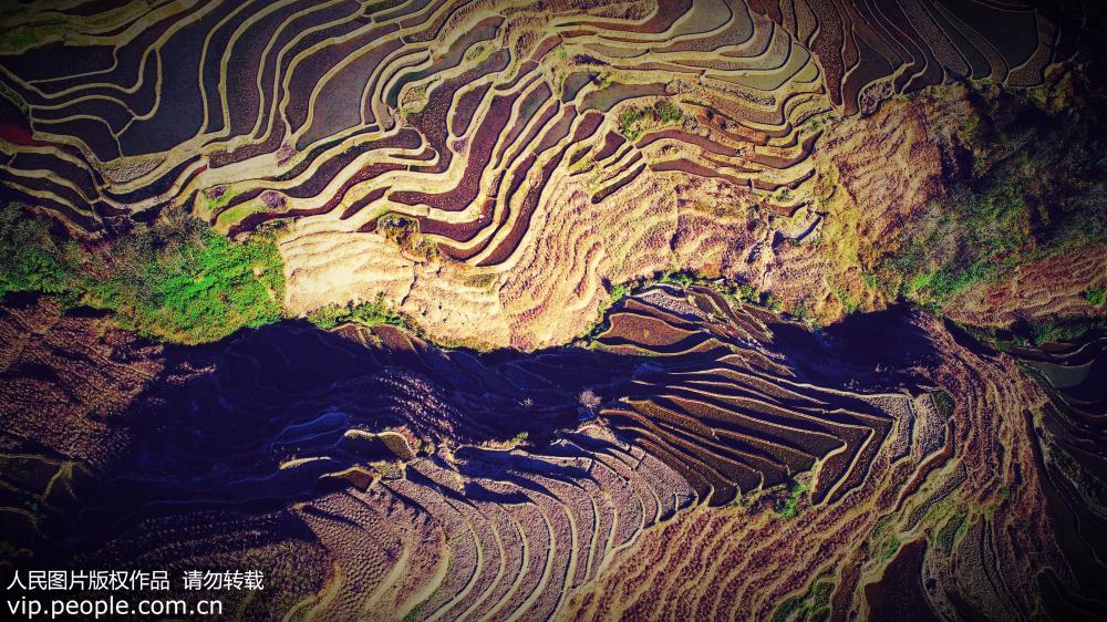 云南元阳梯田：眼前的世外桃源