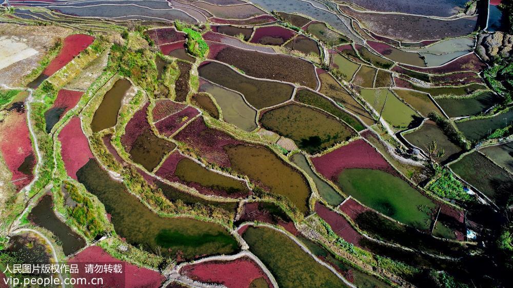 云南元阳梯田：眼前的世外桃源