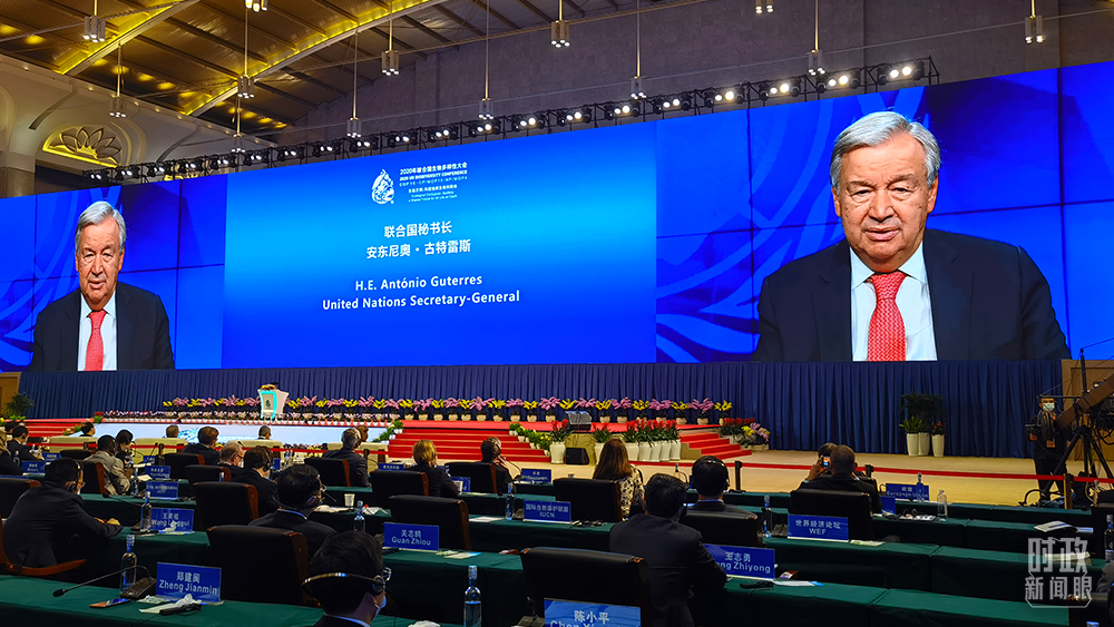 时政新闻眼丨在这场领导人峰会上,习近平阐述生物多样性保护的中国