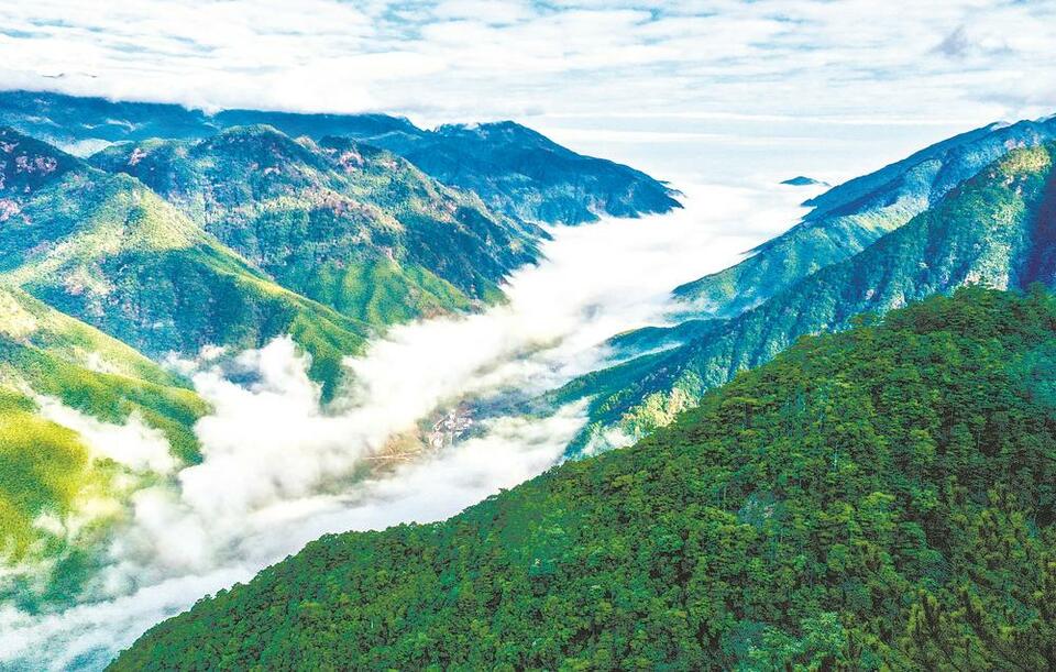 武夷山国家公园体制试点观察：守护万物和谐的美丽家园_fororder_47879c34-a2ad-4065-8828-72f6b2701418