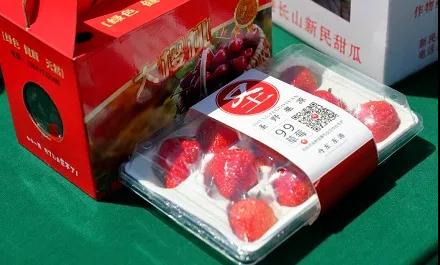 “云游丹东”启幕首站落户东港