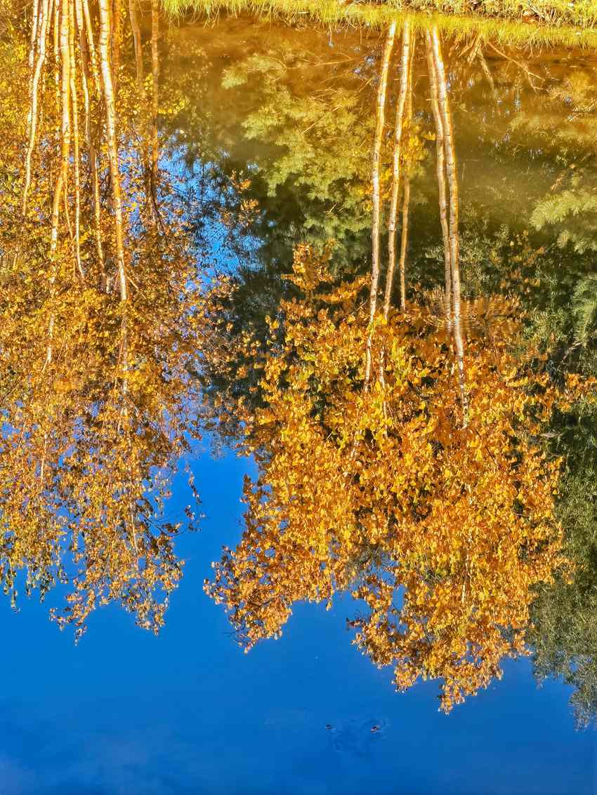 【图集】吉林梅河口：秋意浓 入眼皆是画