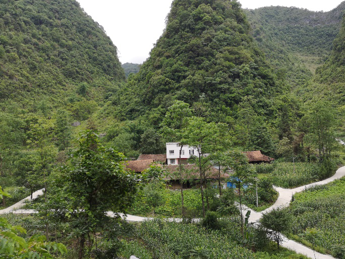 广西凌云县：大石山区“毛细血管”畅通致富路