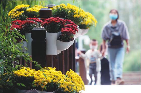 瀋陽:鮮花扮靚 喜迎國慶_fororder_國慶3