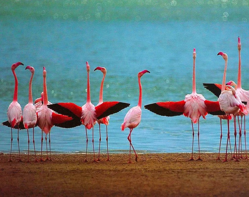 Kenya ta bukaci a mayar da hankali kan masu yawon bude ido na cikin gida domin farfado da bangaren_fororder_210928-Kenya urges tourism sector to focus on domestic travelers to revive industry-f03