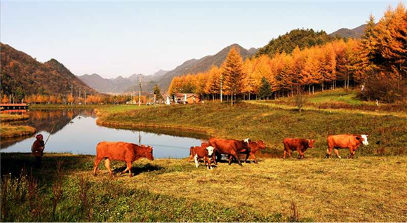 巫溪县文化旅游委供图 华龙网发