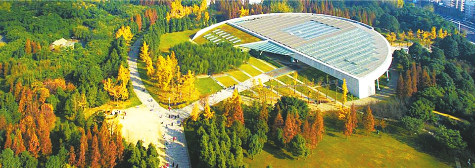 （中首）金沙遗址 年前惊天下 太阳神鸟如今为成都“代言