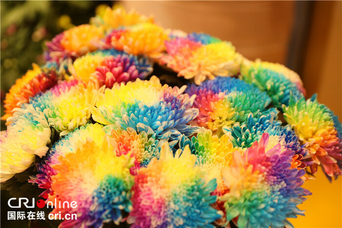 중국 카이펑 국화문화축제 화분 320만개 전시_fororder_IMG_9426.JPG