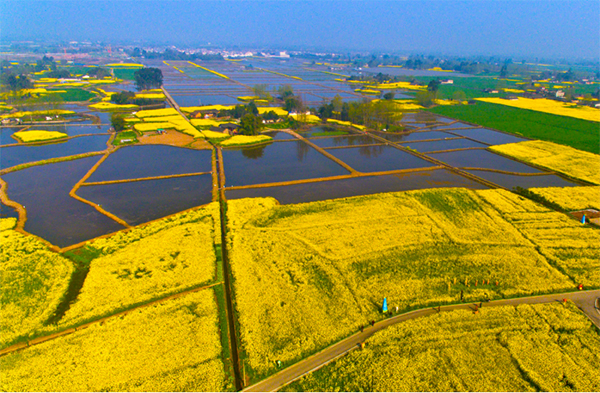 天府旅游名县党委书记访谈｜成都市大邑县委书记连华：三年坚持终上榜 打开大邑文旅改革新篇章_fororder_未标题-3
